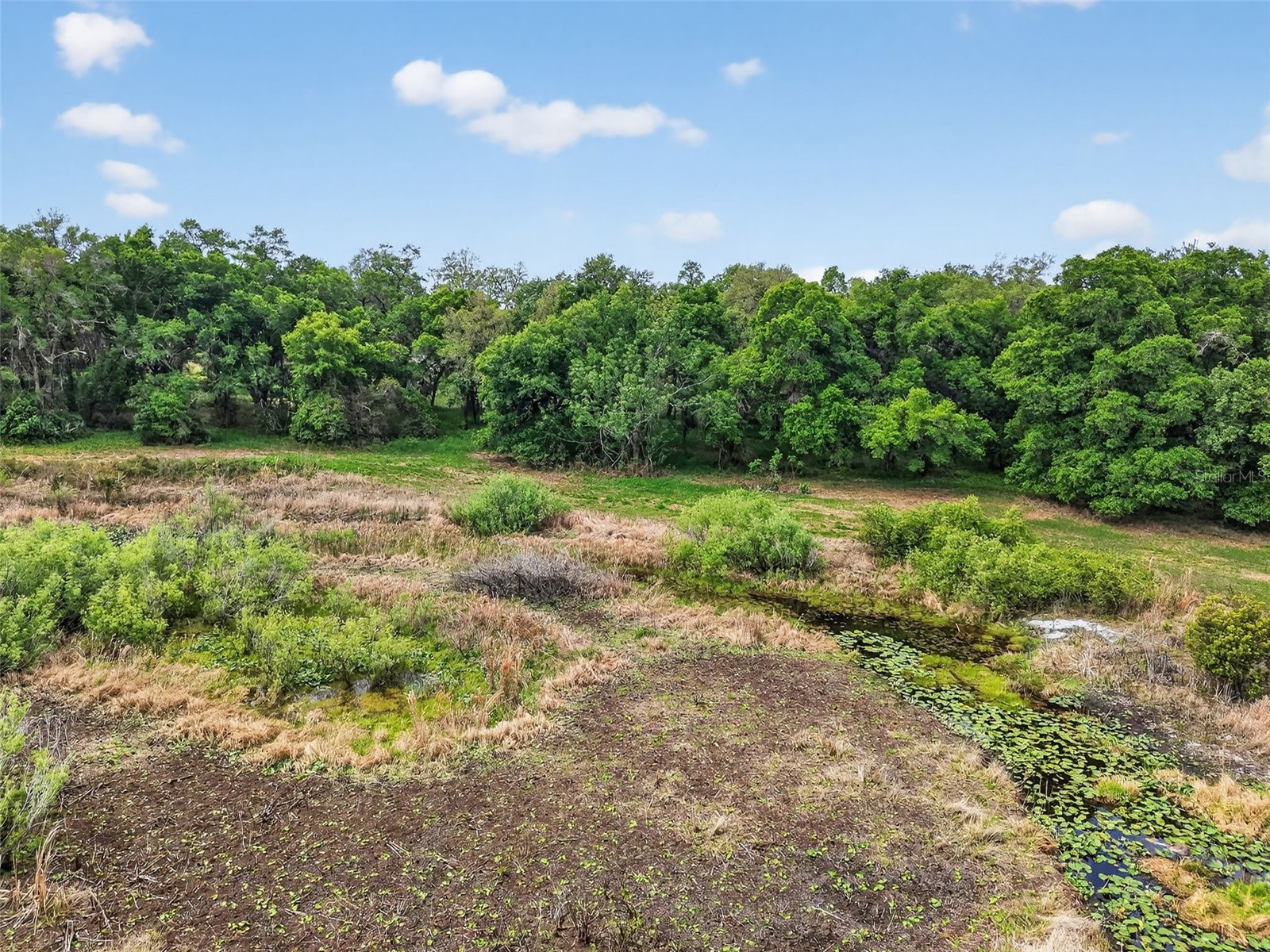 County Line Road Umatilla FL 32784 G5110272 image10
