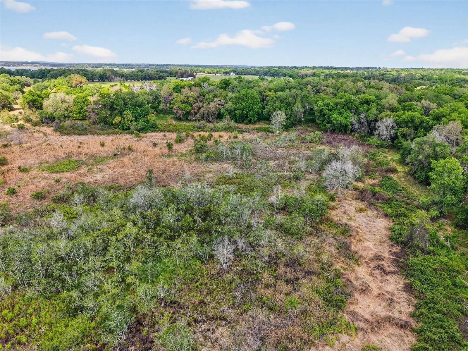 County Line Road Umatilla FL 32784 G5110272 image11