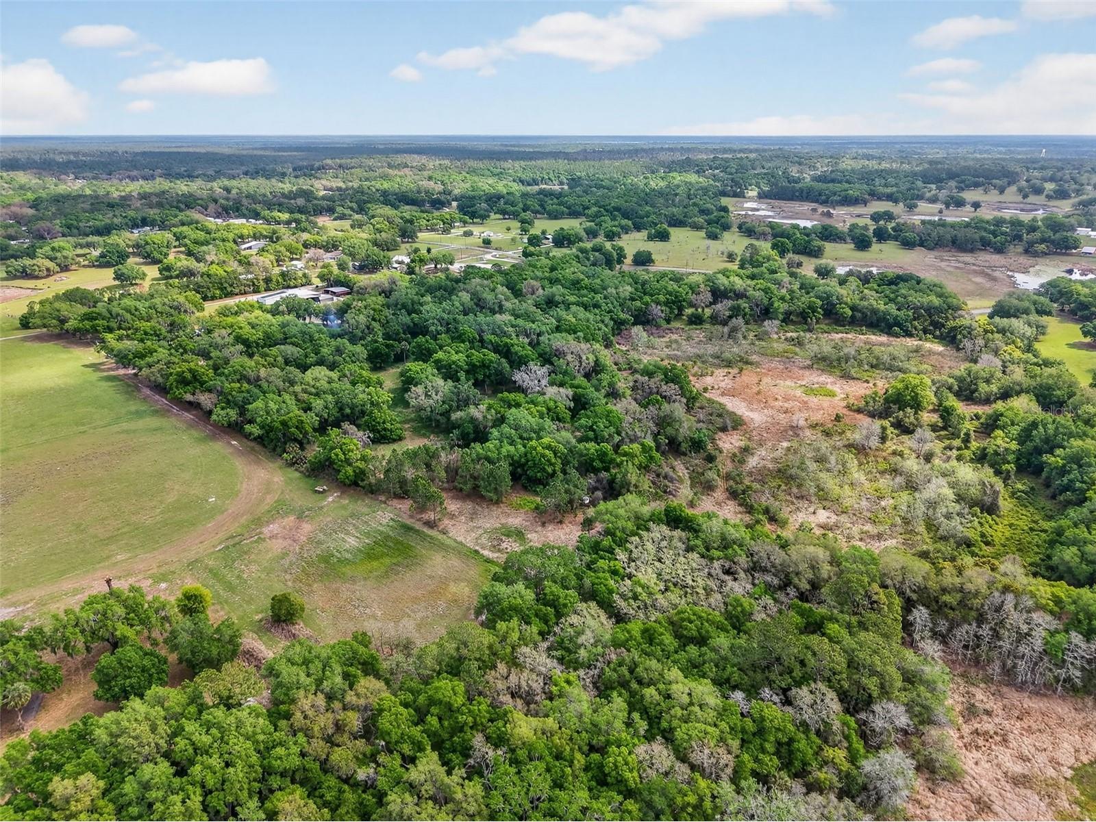 County Line Road Umatilla FL 32784 G5110272 image7