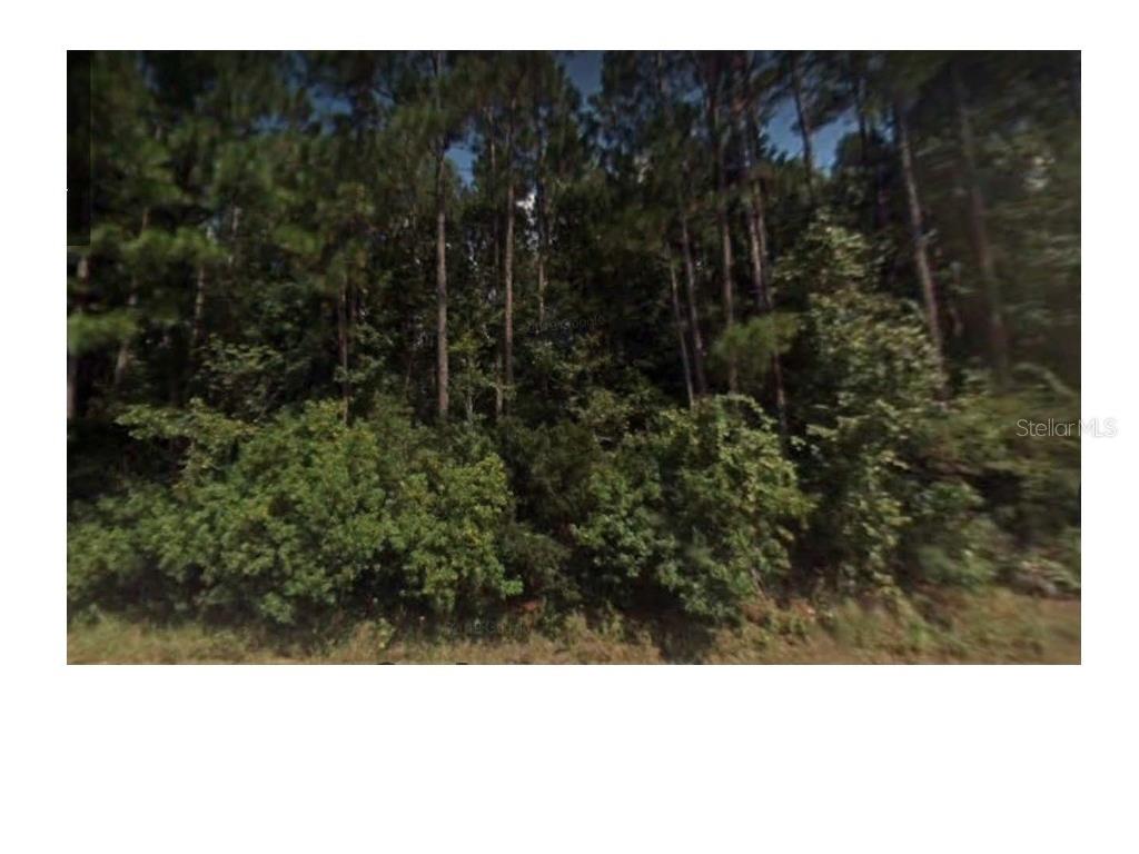 County Rd 139 Road Glen Saint Mary FL 32040 O6064356 image1
