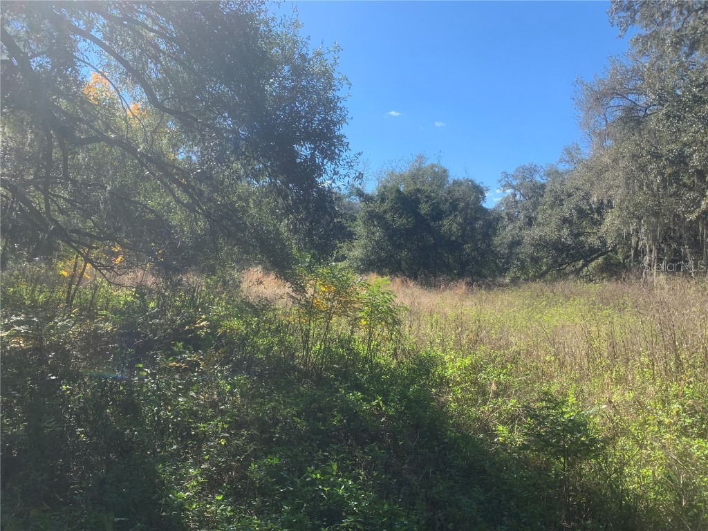 County Rd 726 Webster FL 33597 G5077908 image1