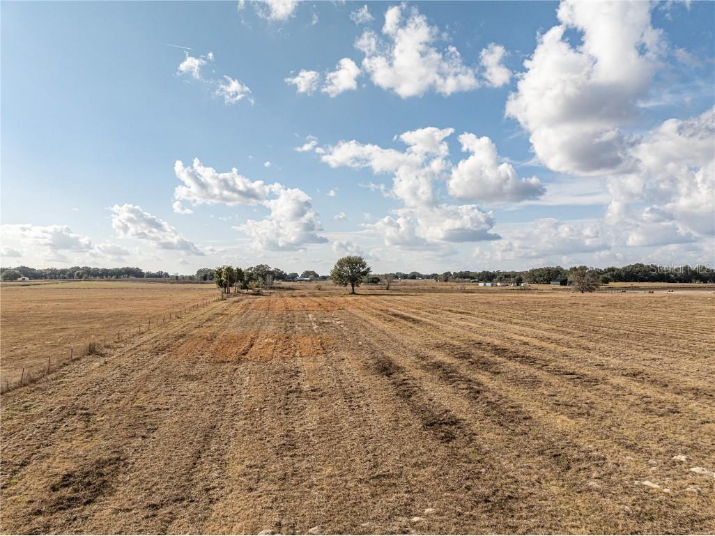 County Road 101 Oxford FL 34484 G5106013 image2