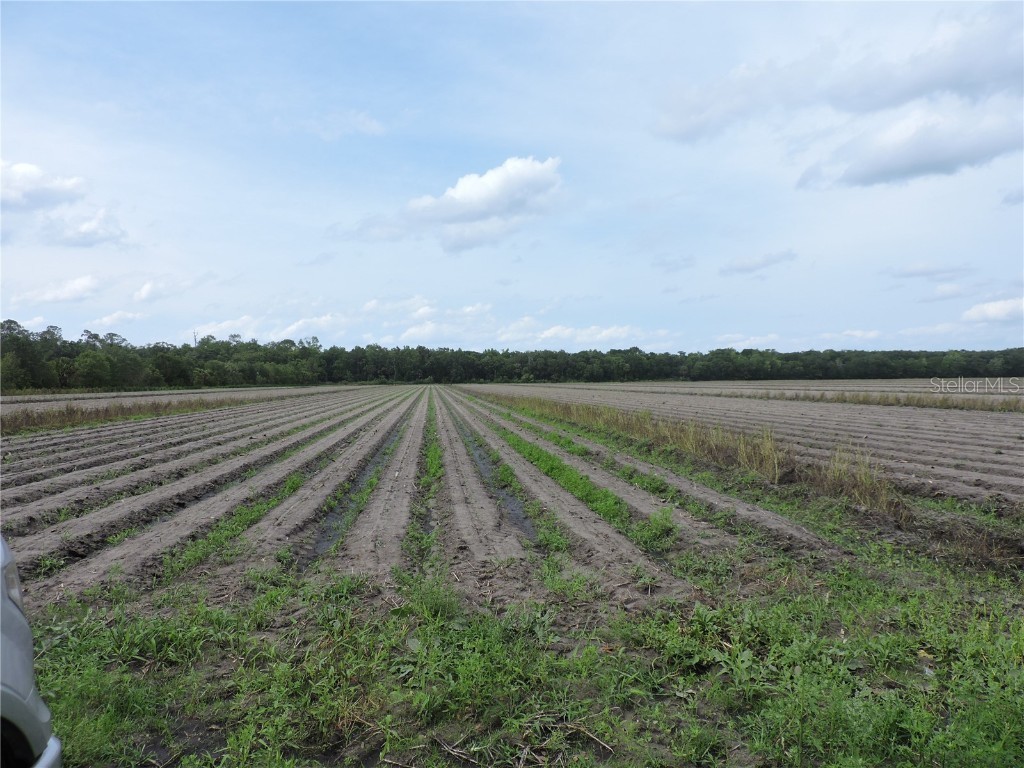 County Road 108 Road Bunnell FL 32110 FC312254 image1