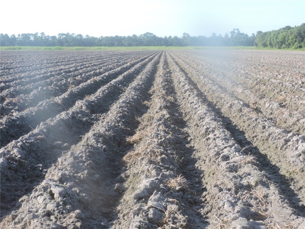 County Road 108 Road Bunnell FL 32110 FC312254 image2