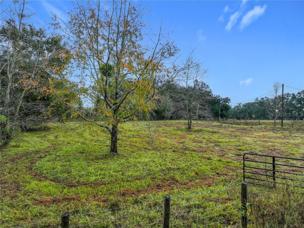 County Road 209 Oxford FL 34484 G5105350 image5