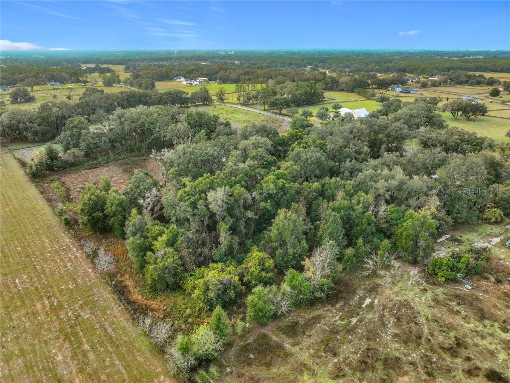 County Road 209 Oxford FL 34484 G5105350 image9