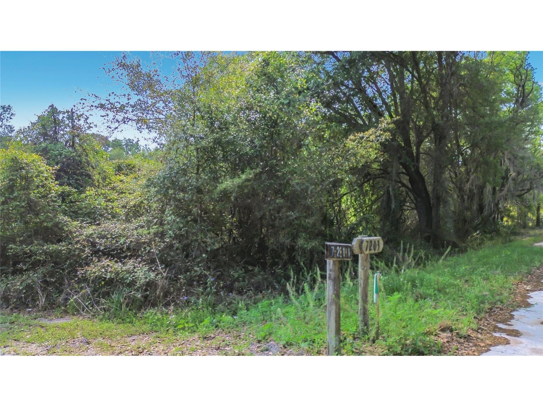 County Road 213 Wildwood FL 34785 TB8486782 image19
