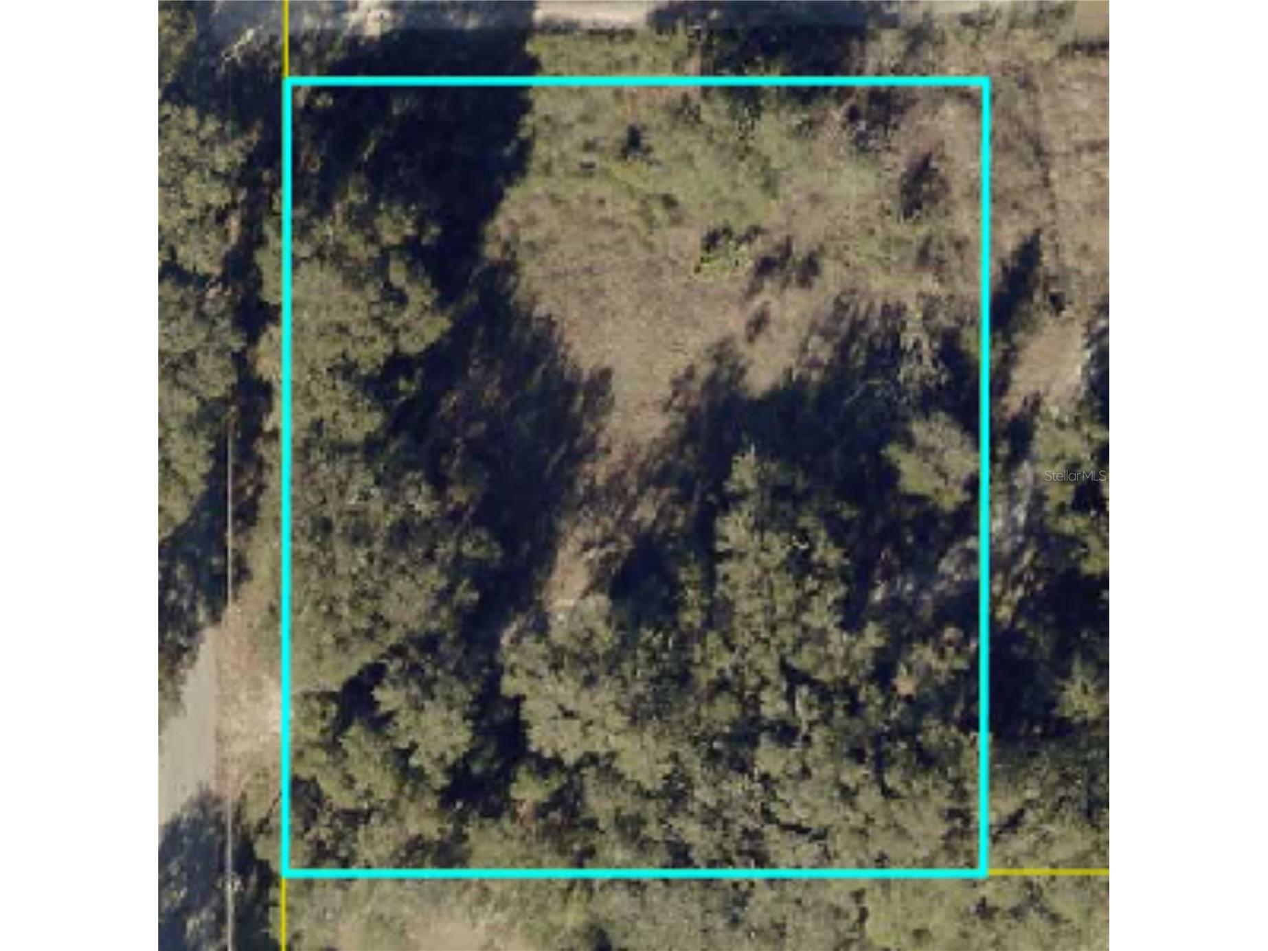 County Road 213 Wildwood FL 34785 TB8486782 image20