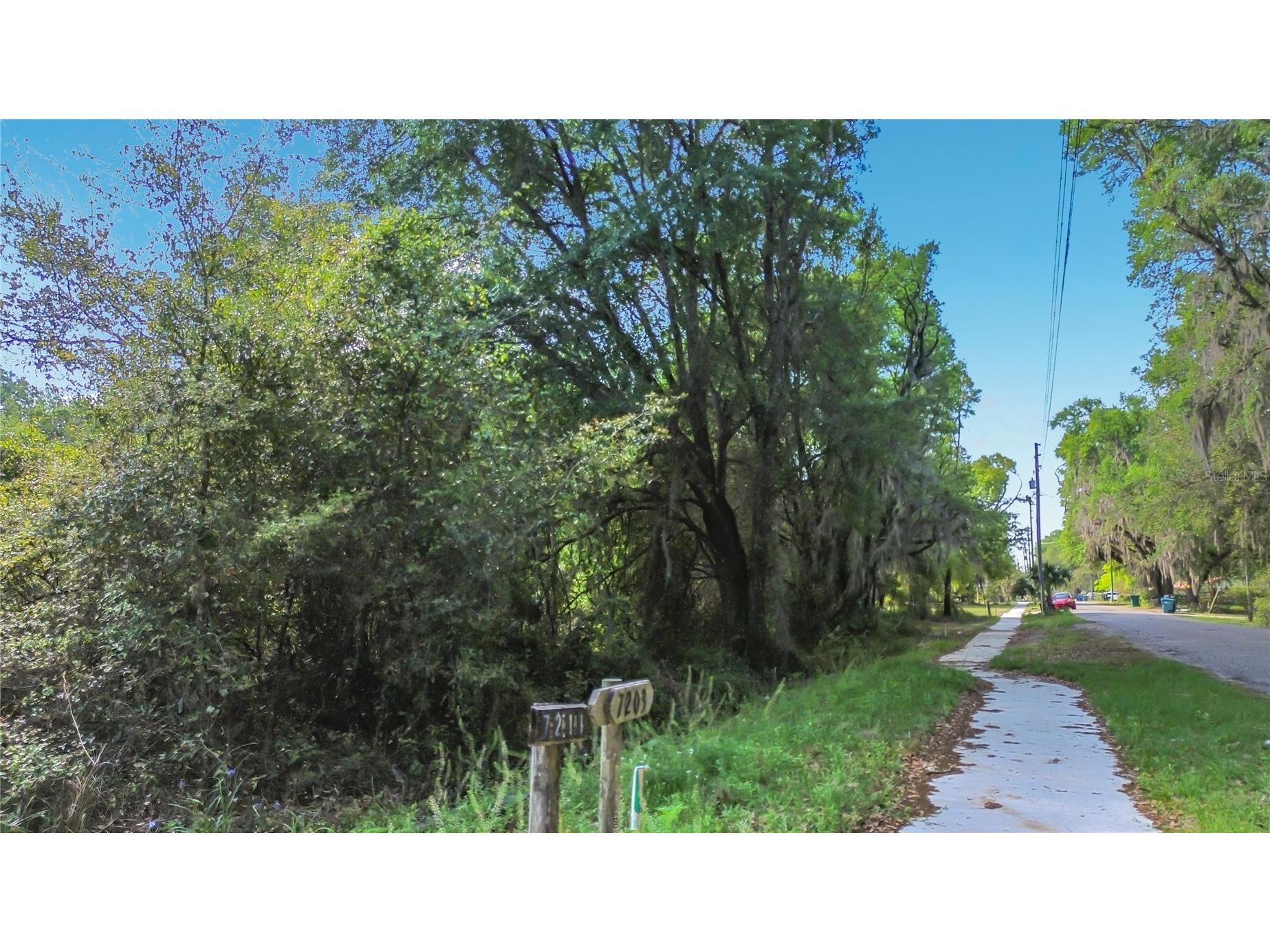 County Road 213 Wildwood FL 34785 TB8486782 image21