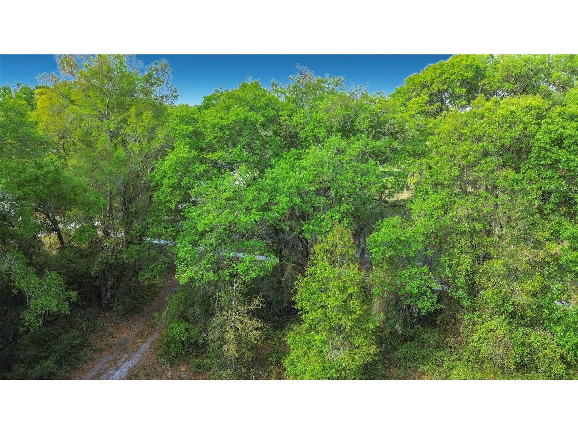 County Road 213 Wildwood FL 34785 TB8486782 image22