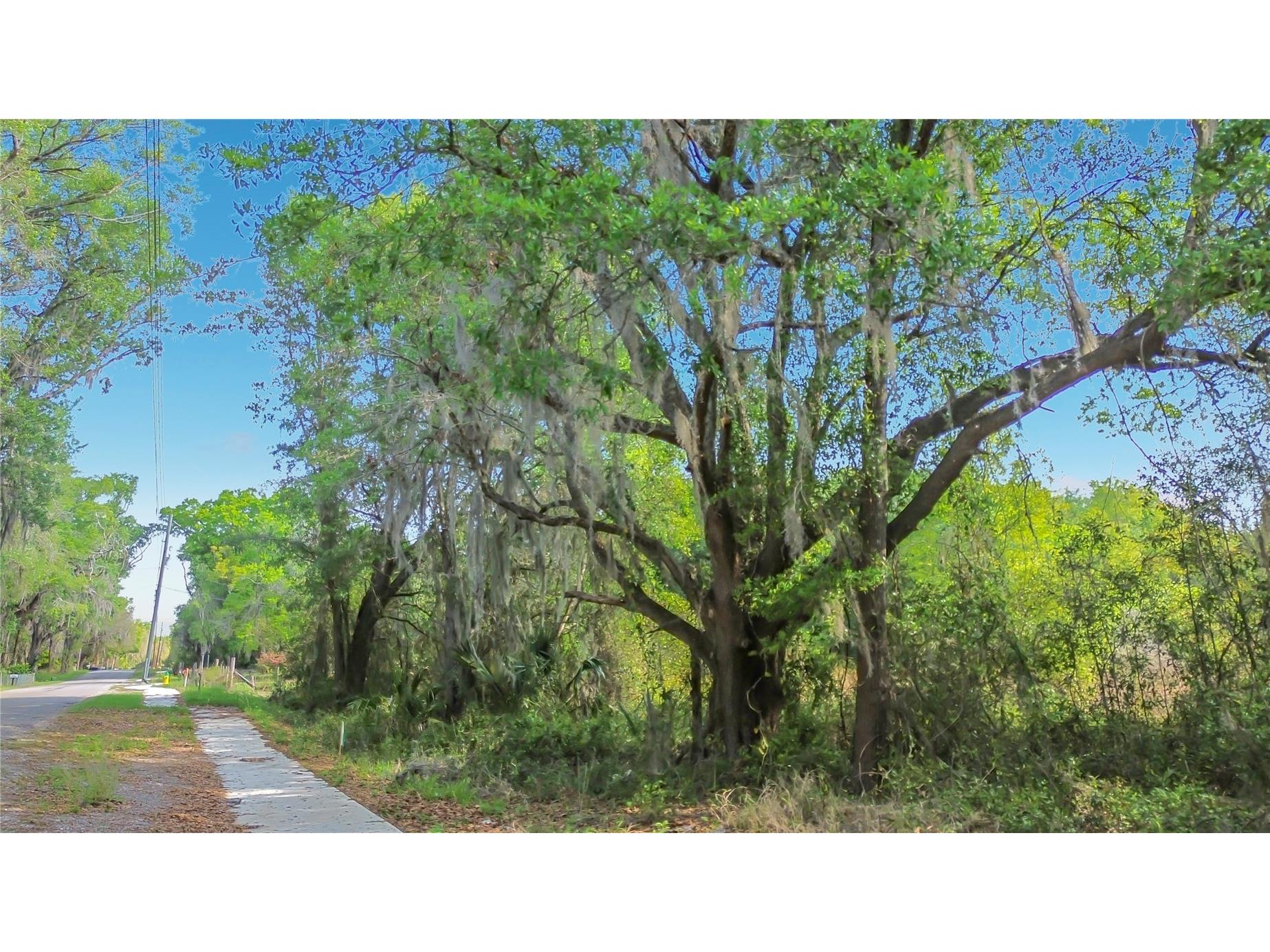 County Road 213 Wildwood FL 34785 TB8486782 image4