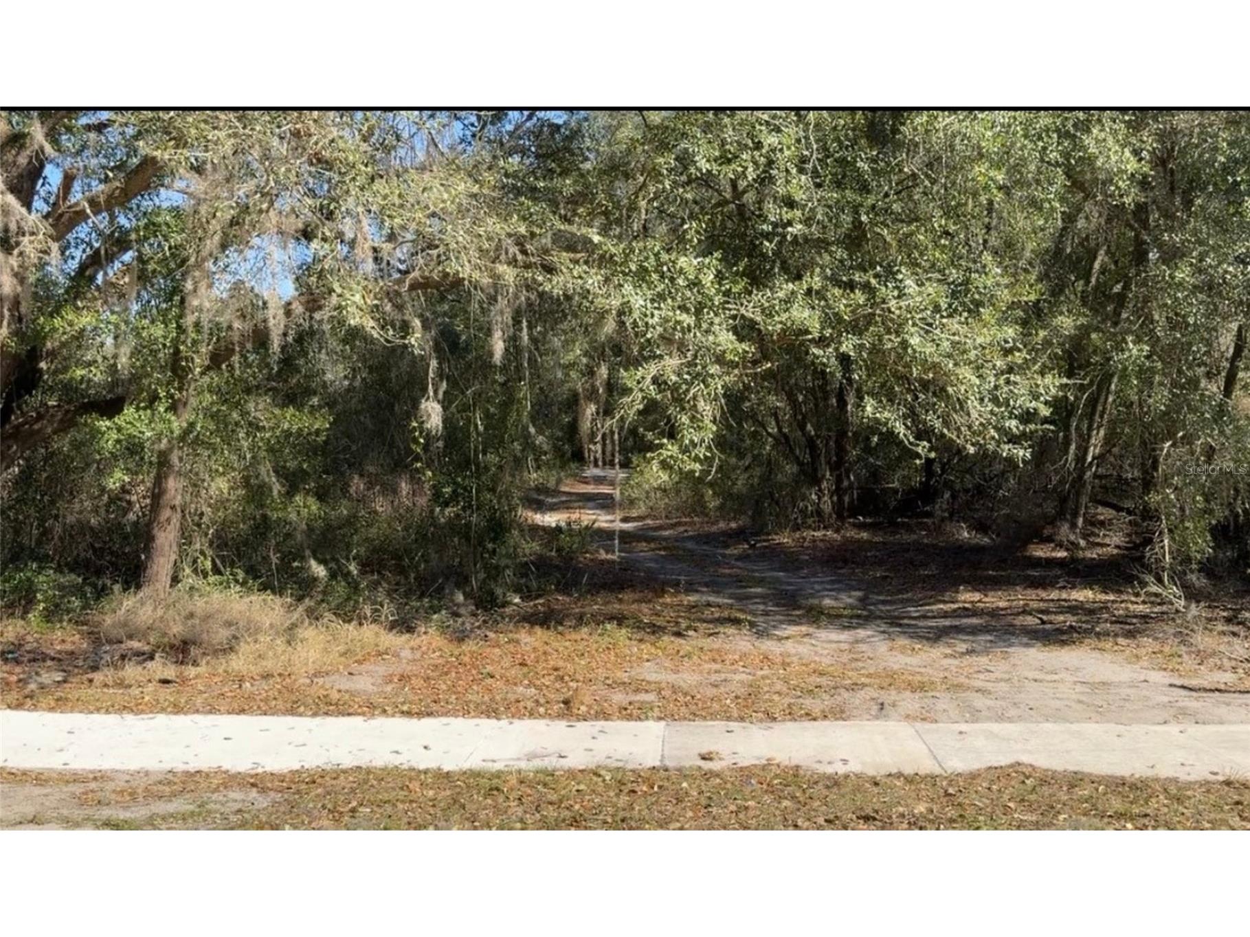 County Road 213 Wildwood FL 34785 TB8486782 image7