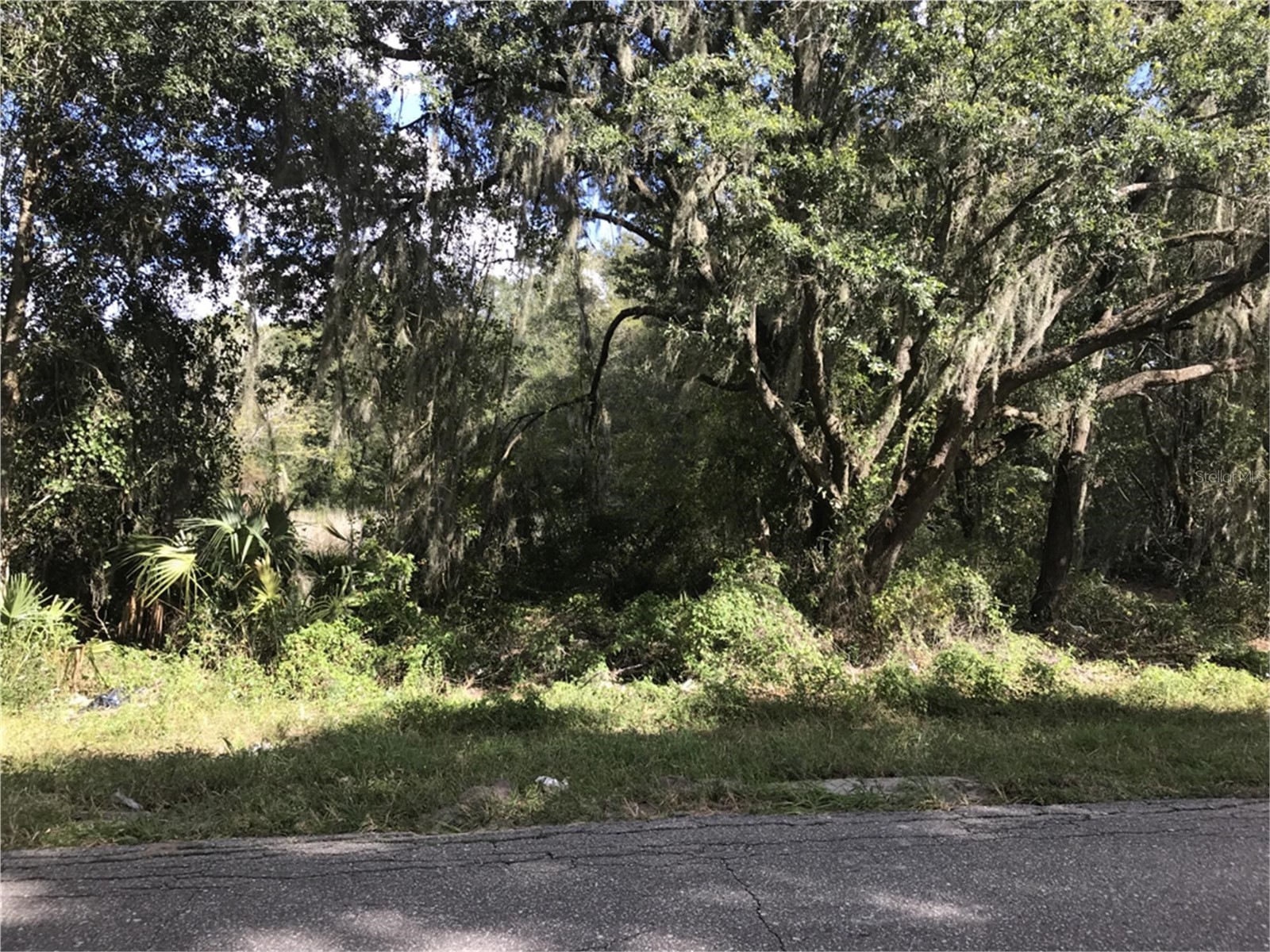 County Road 213 Wildwood FL 34785 TB8486782 image8