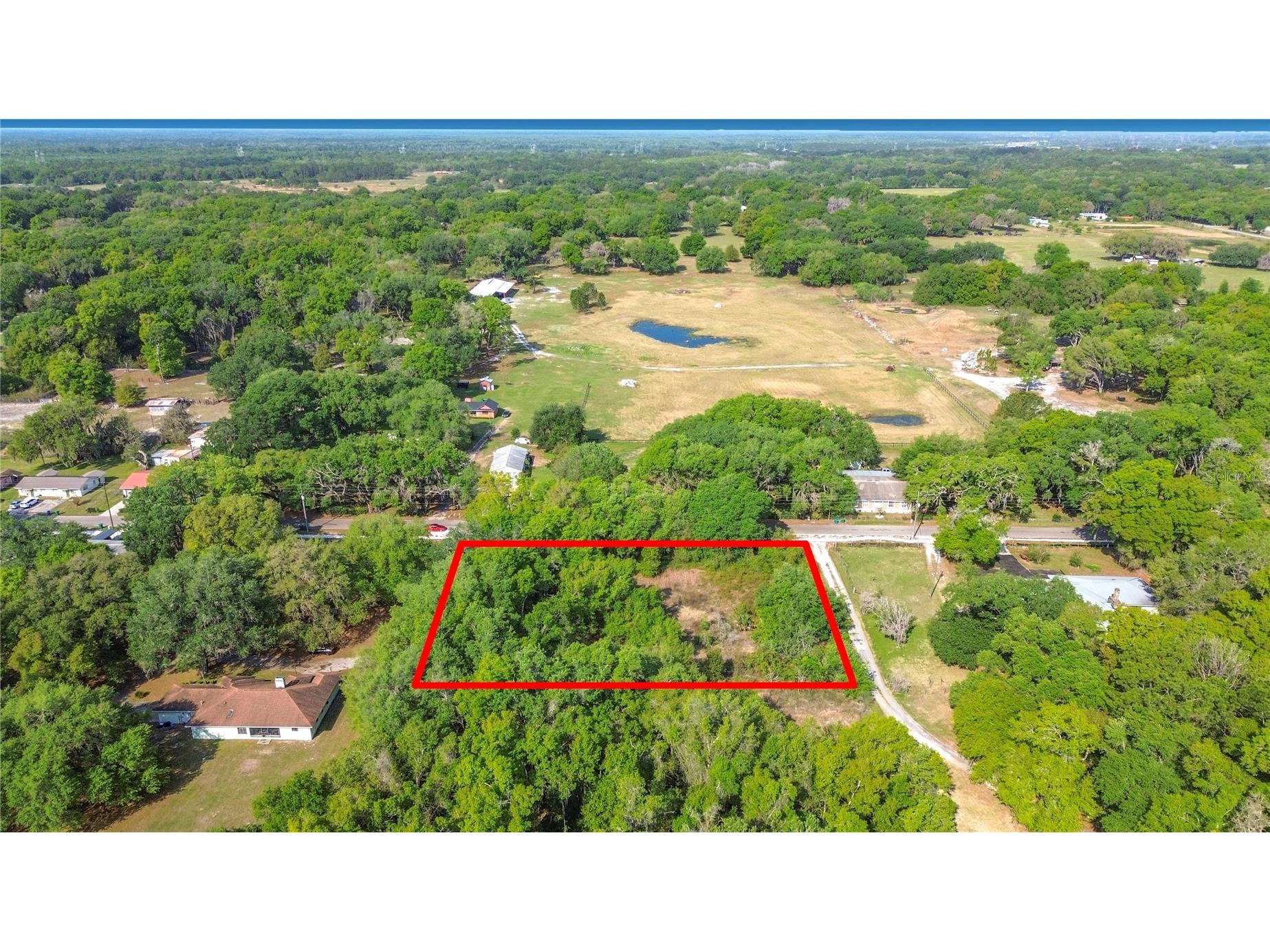 County Road 213 Wildwood FL 34785 TB8486782 image9