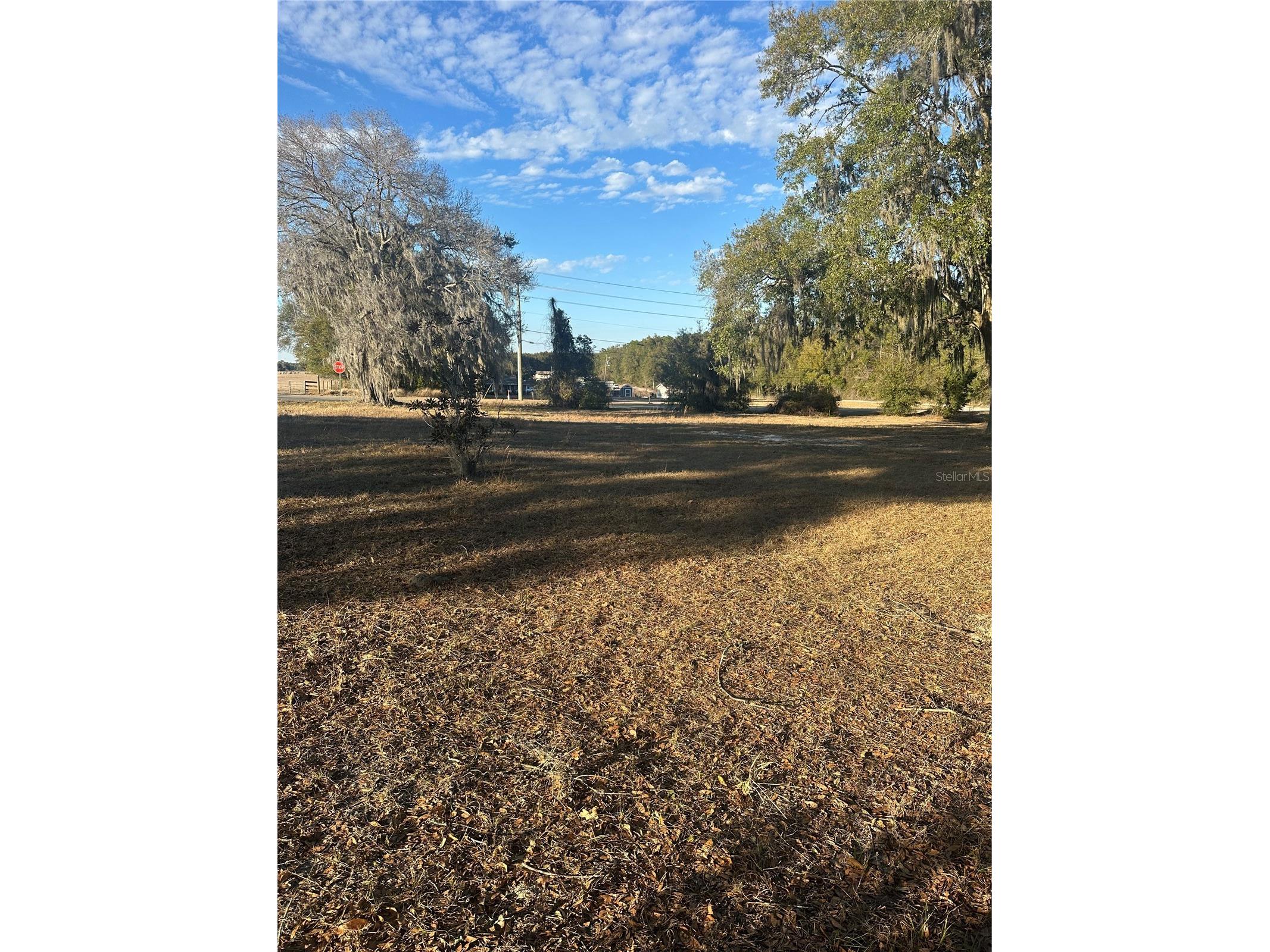 County Road 235a Wildwood FL 34785 O6386722 image1