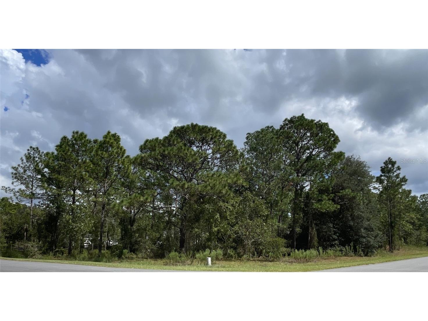 County Road 243a #LOT 23 Wildwood FL 34785 O6137954 image1