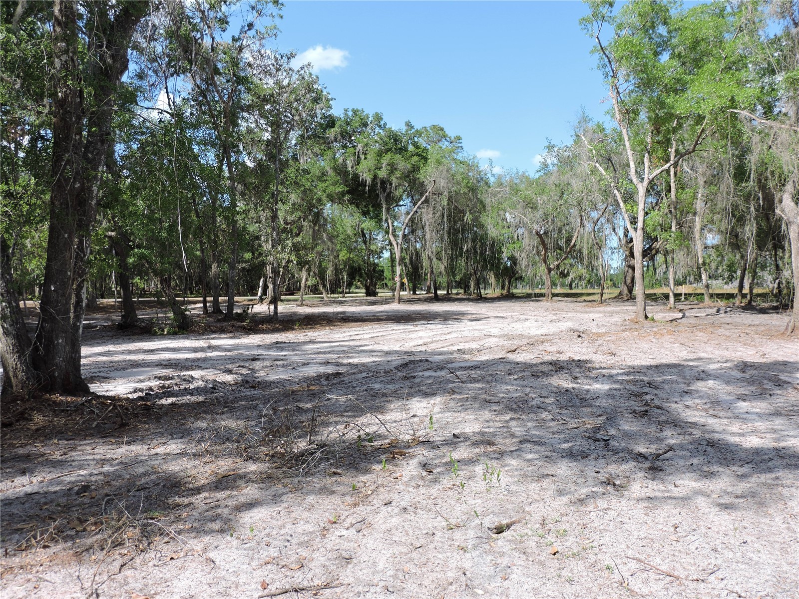 County Road 309 Crescent City FL 32112 FC318031 image1