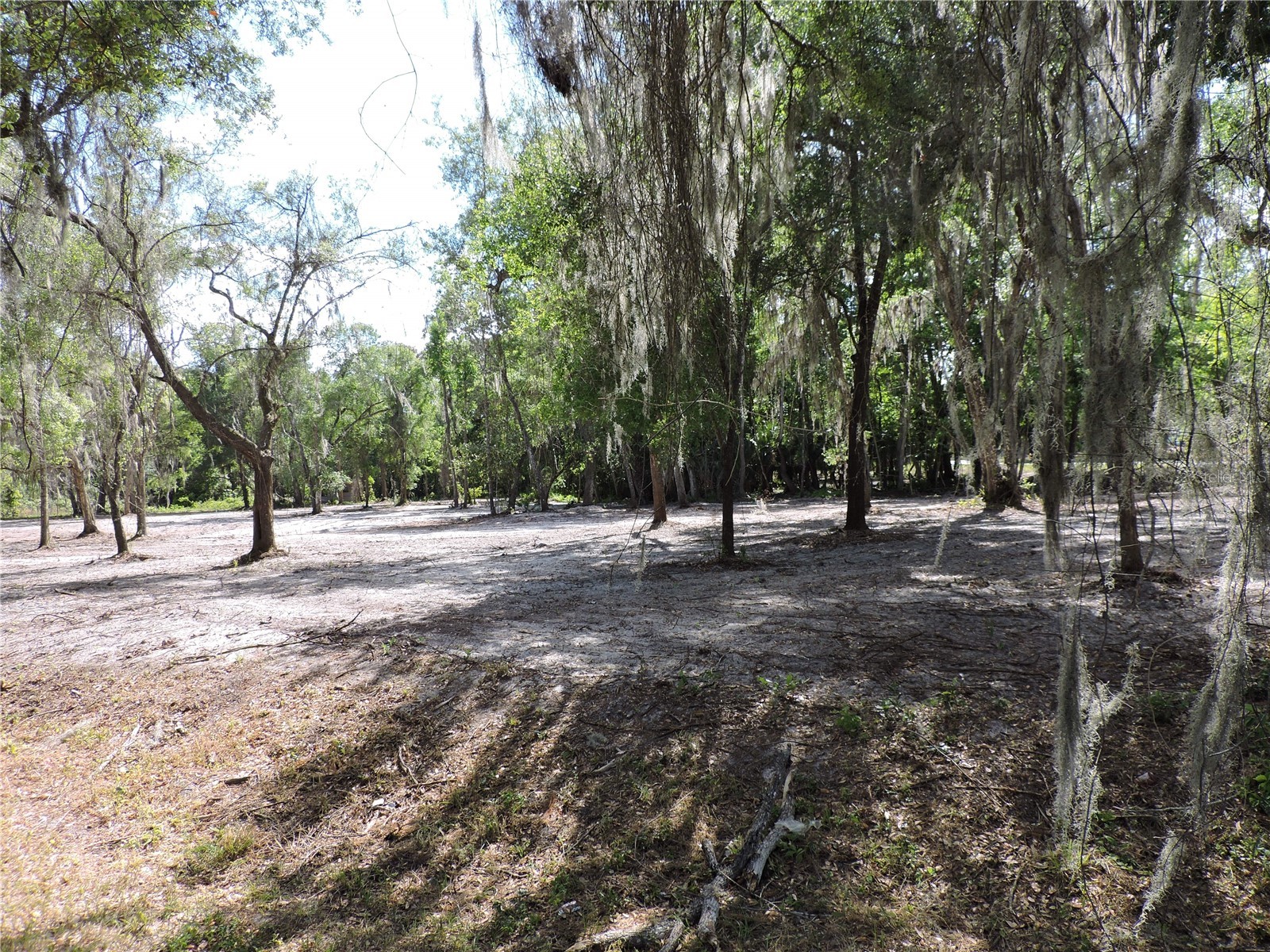 County Road 309 Crescent City FL 32112 FC318031 image2