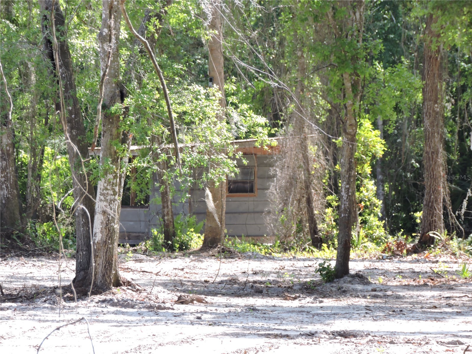 County Road 309 Crescent City FL 32112 FC318031 image6