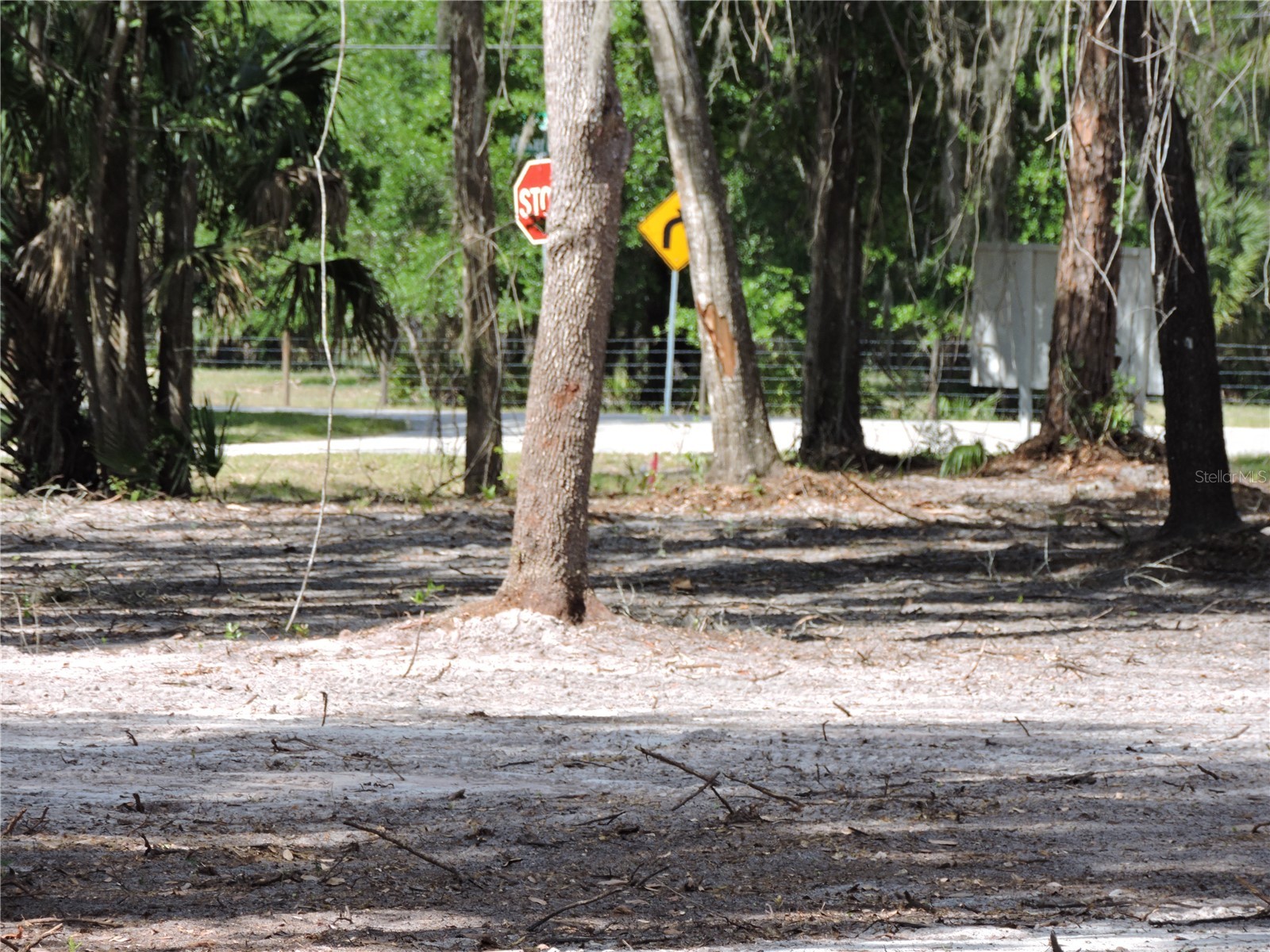 County Road 309 Crescent City FL 32112 FC318031 image7