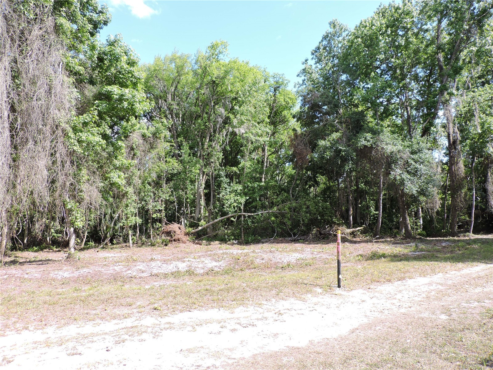 County Road 309 Crescent City FL 32112 FC318031 image8