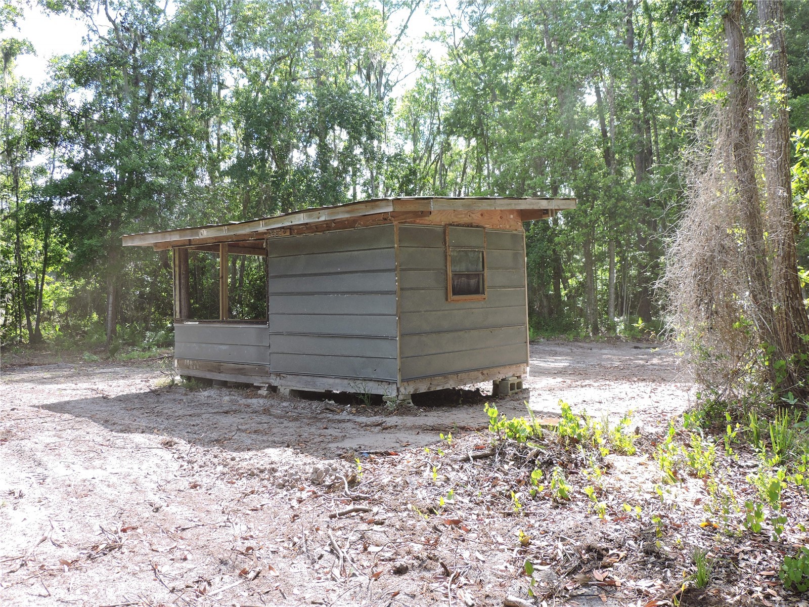 County Road 309 Crescent City FL 32112 FC318031 image9