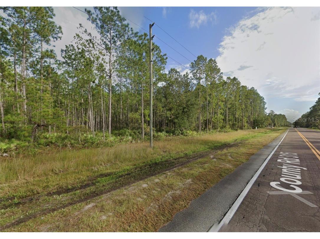 County Road 315 Interlachen FL 32148 W7873354 image1