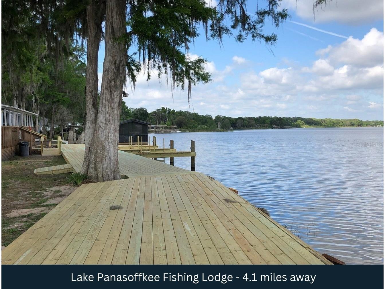 County Road 401 Lake Panasoffkee FL 33538 TB8432656 image14