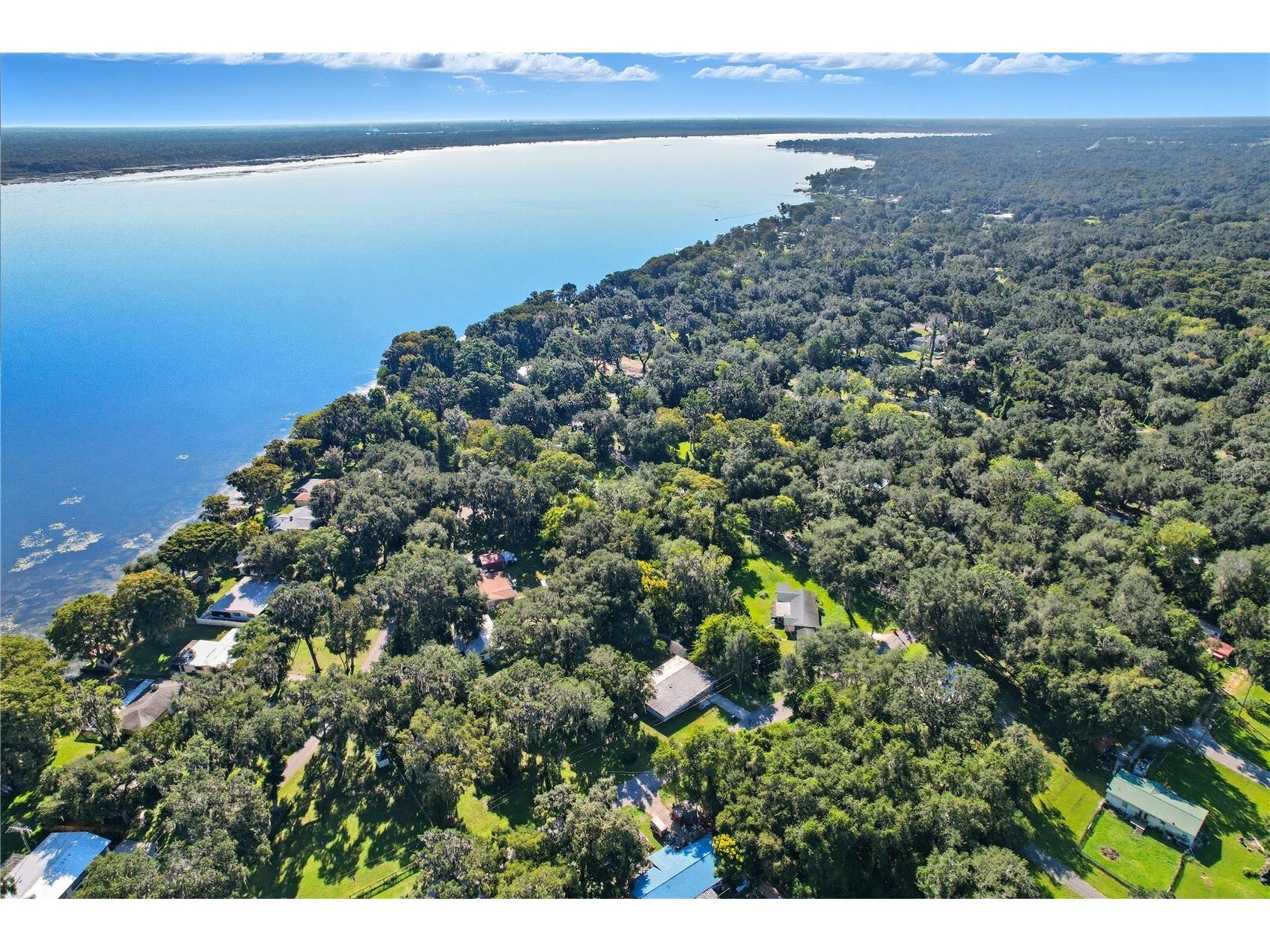 County Road 401 Lake Panasoffkee FL 33538 TB8432656 image15