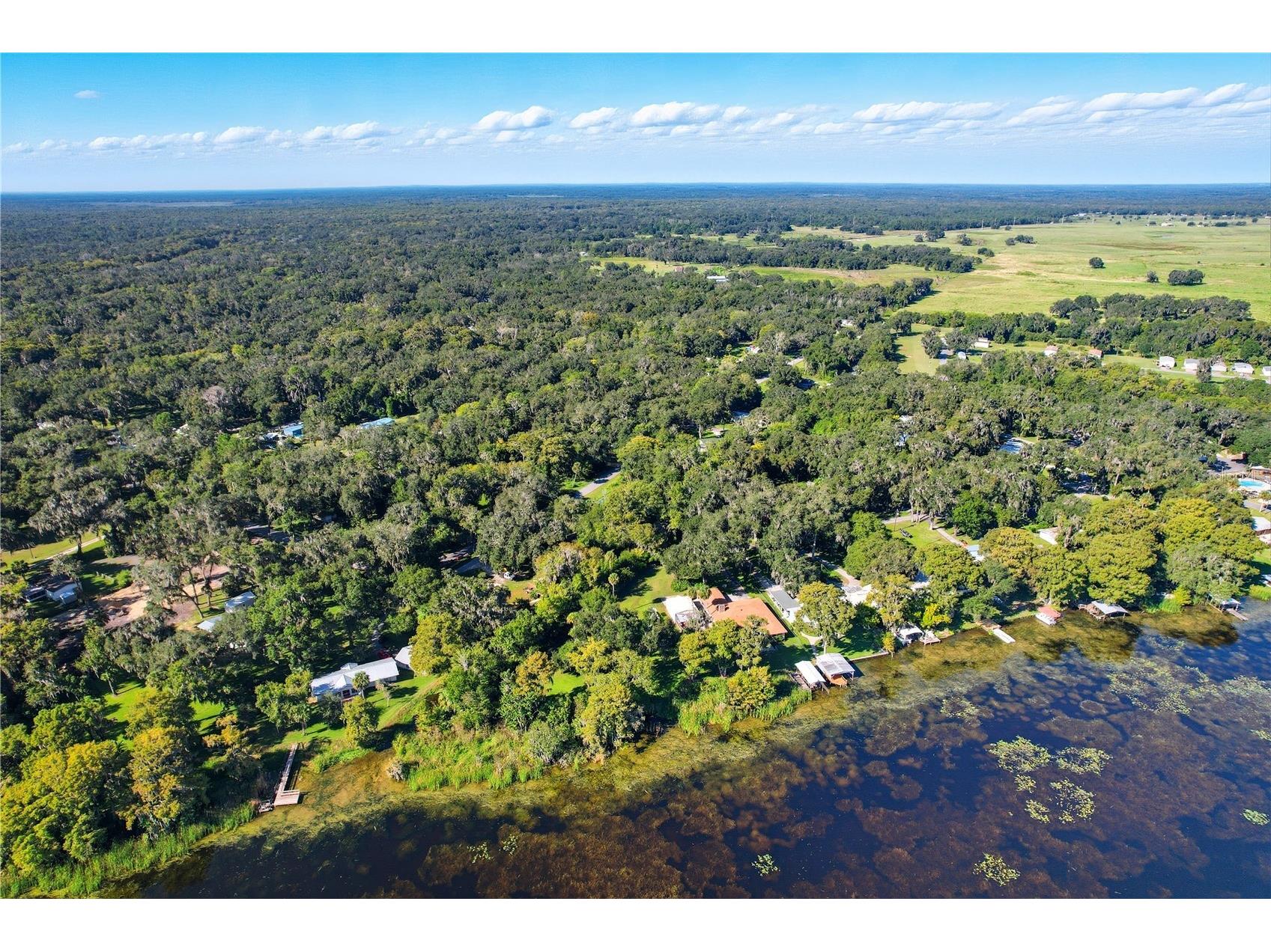 County Road 401 Lake Panasoffkee FL 33538 TB8432656 image18