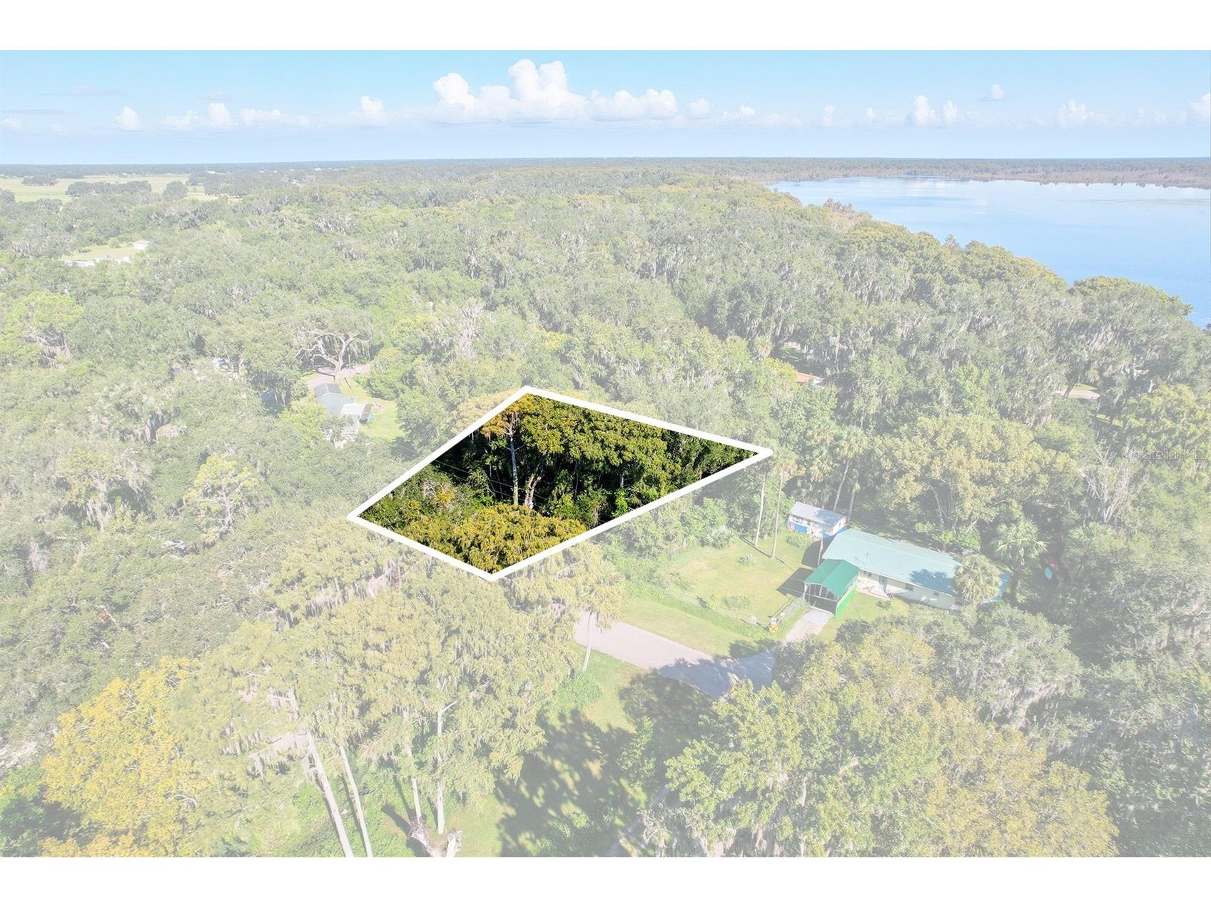 County Road 401 Lake Panasoffkee FL 33538 TB8432656 image2