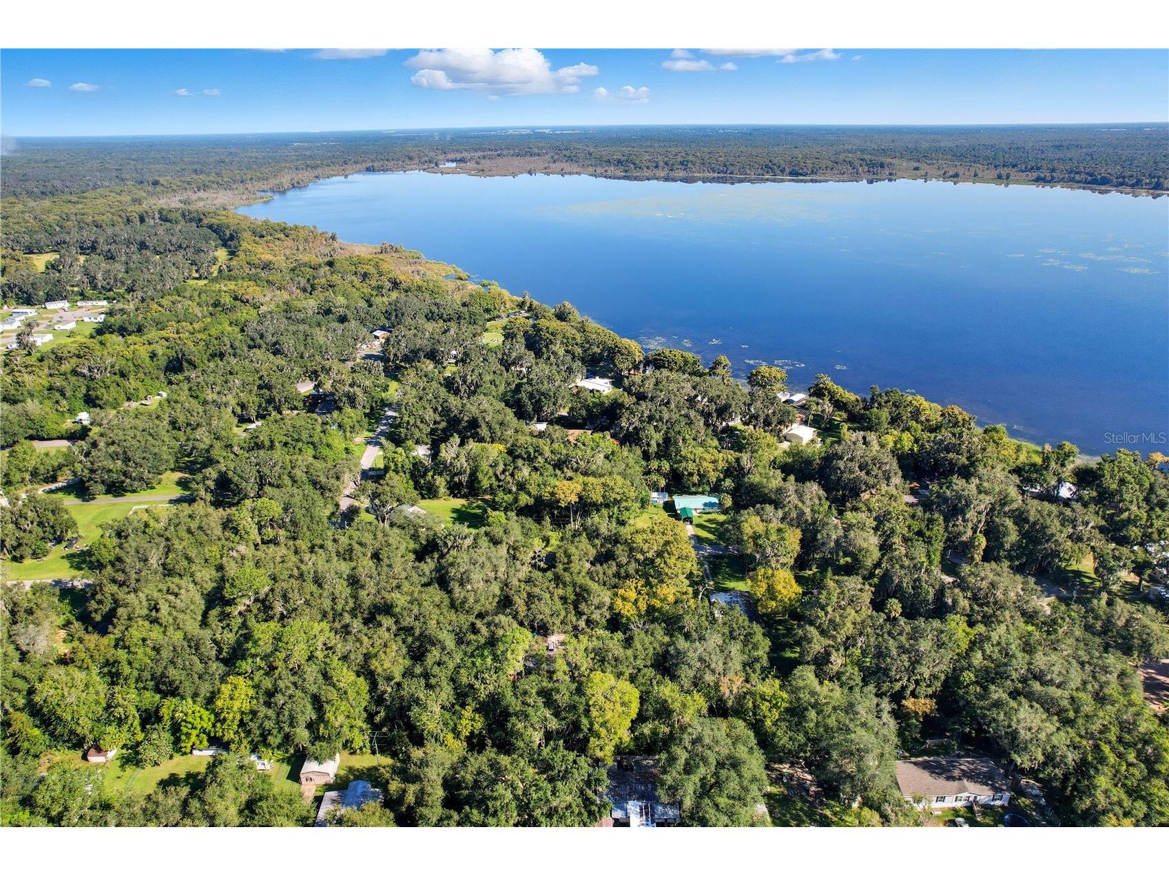 County Road 401 Lake Panasoffkee FL 33538 TB8432656 image22