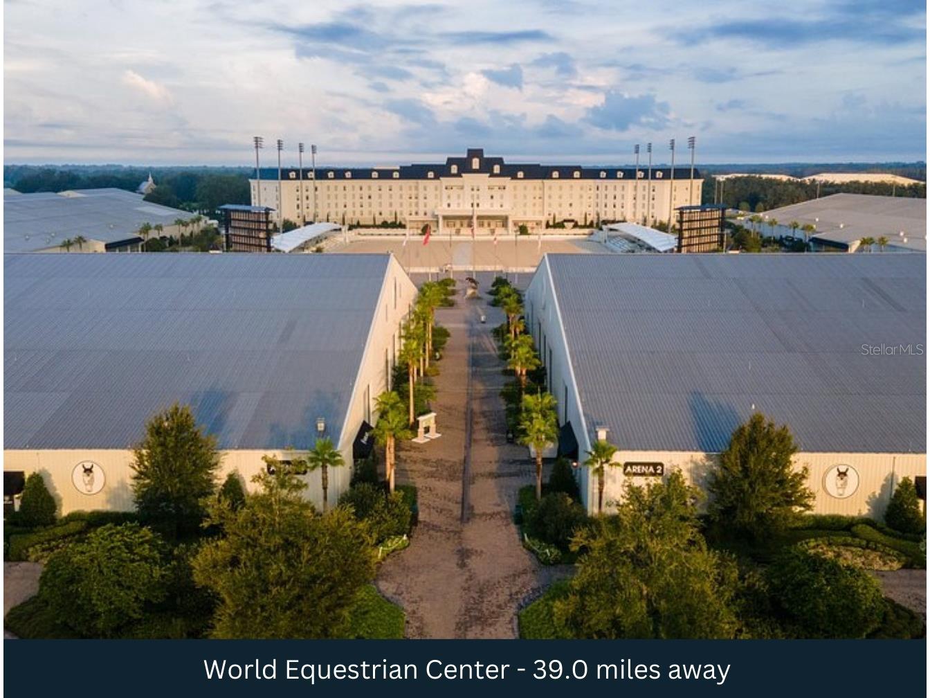 County Road 401 Lake Panasoffkee FL 33538 TB8432656 image23