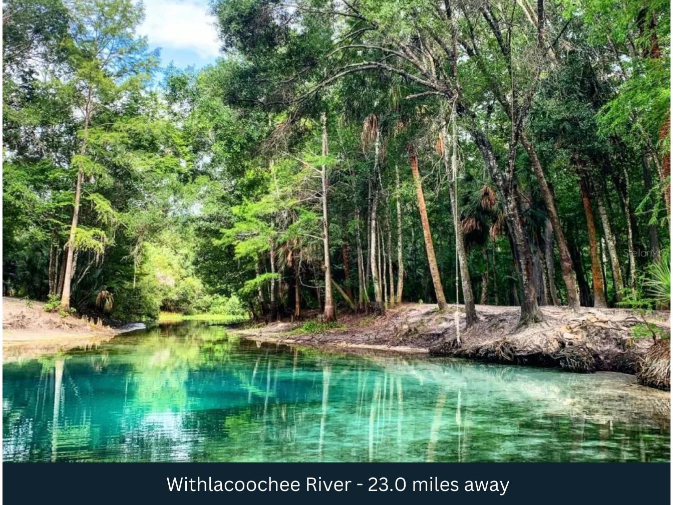 County Road 401 Lake Panasoffkee FL 33538 TB8432656 image24