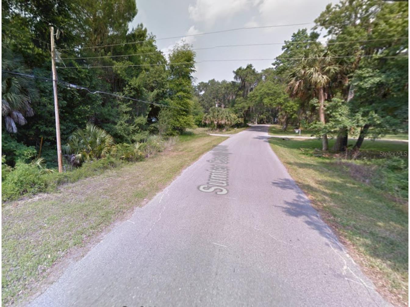 County Road 401 Lake Panasoffkee FL 33538 TB8432656 image25
