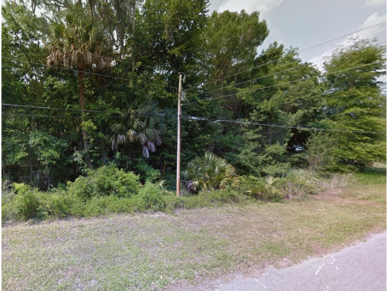 County Road 401 Lake Panasoffkee FL 33538 TB8432656 image26