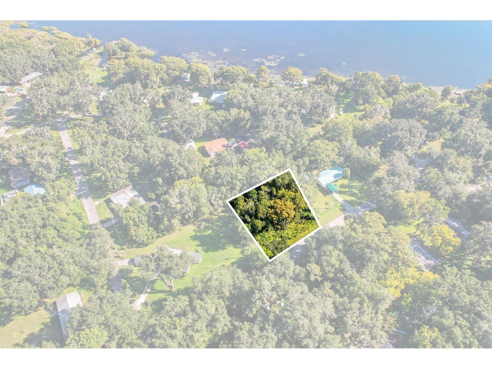 County Road 401 Lake Panasoffkee FL 33538 TB8432656 image27