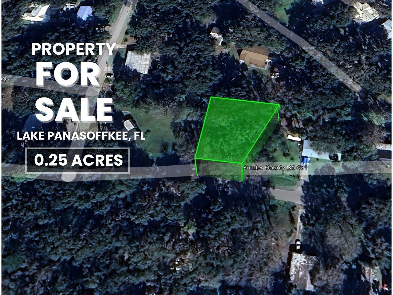 County Road 401 Lake Panasoffkee FL 33538 TB8432656 image32