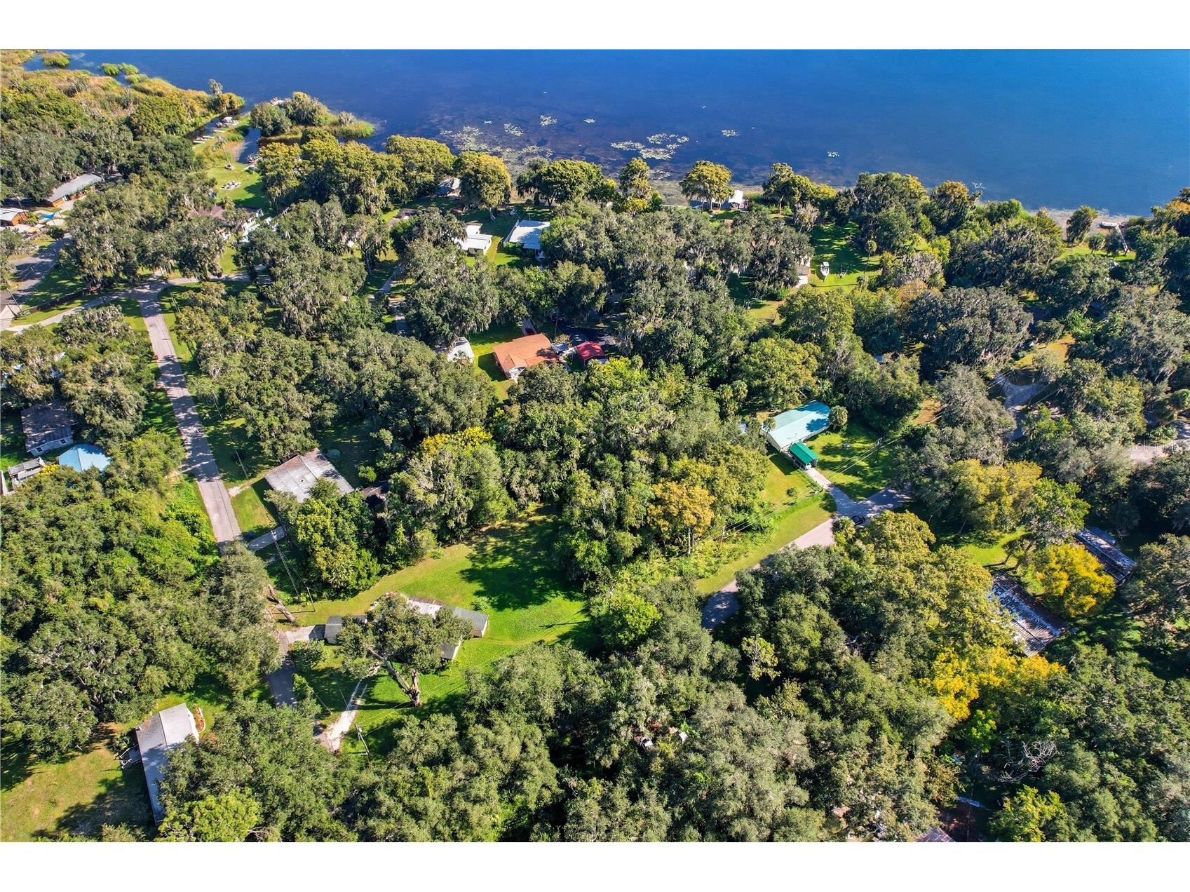 County Road 401 Lake Panasoffkee FL 33538 TB8432656 image4