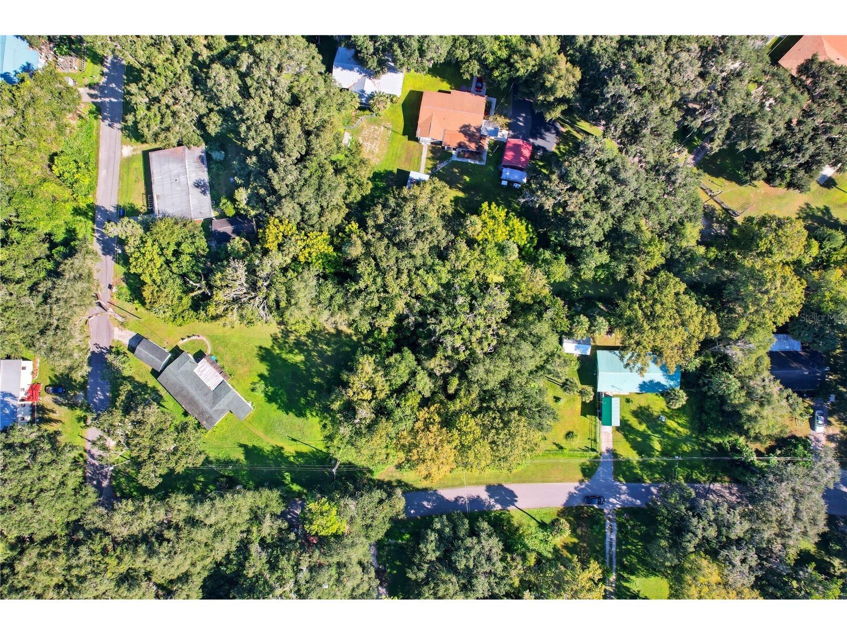 County Road 401 Lake Panasoffkee FL 33538 TB8432656 image8