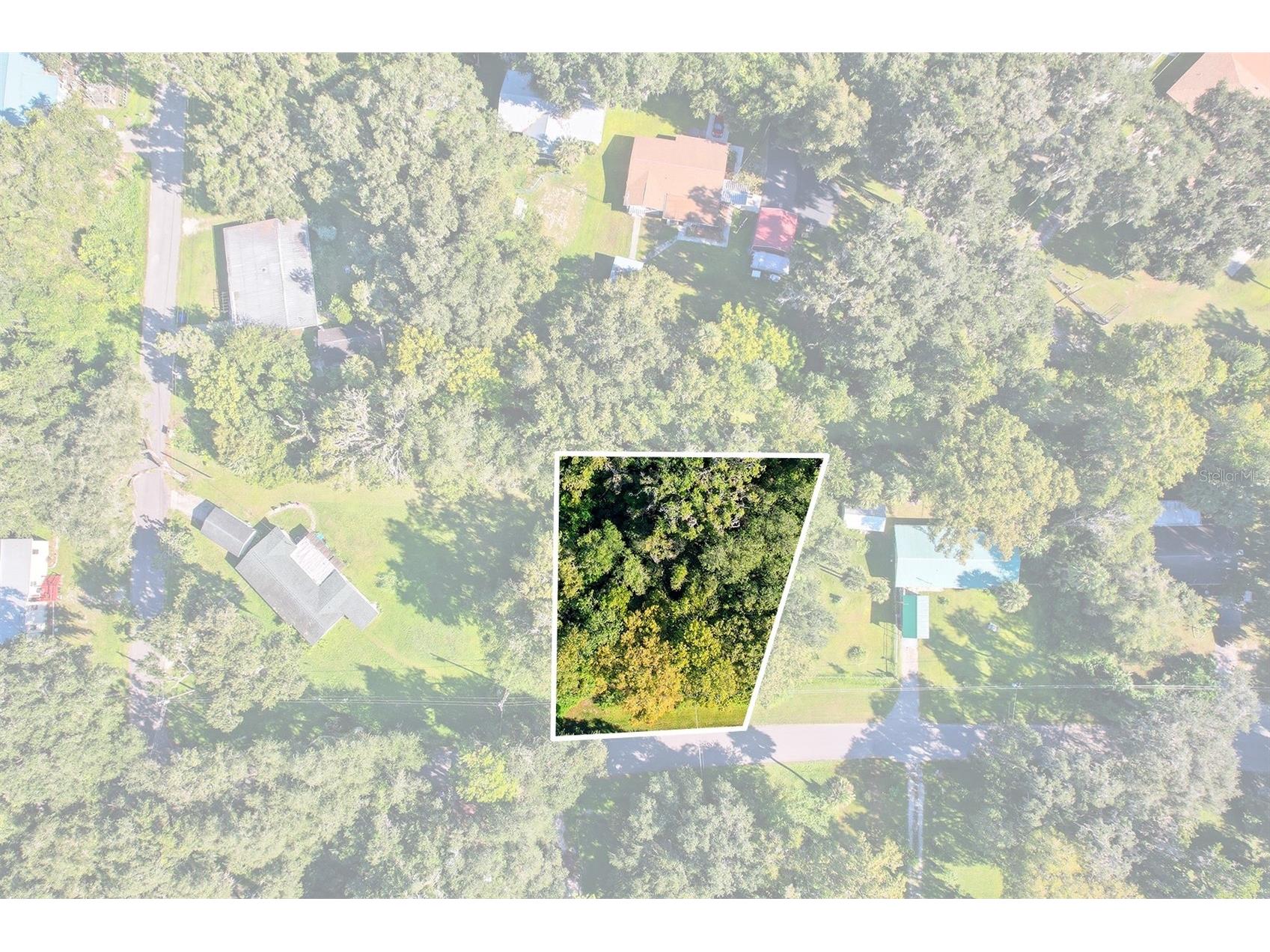 County Road 401 Lake Panasoffkee FL 33538 TB8432656 image9