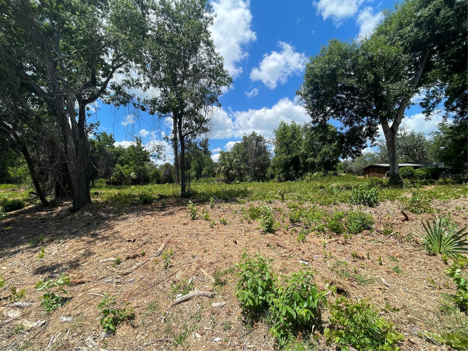 County Road 42 Umatilla FL 32784 G5113247 image1