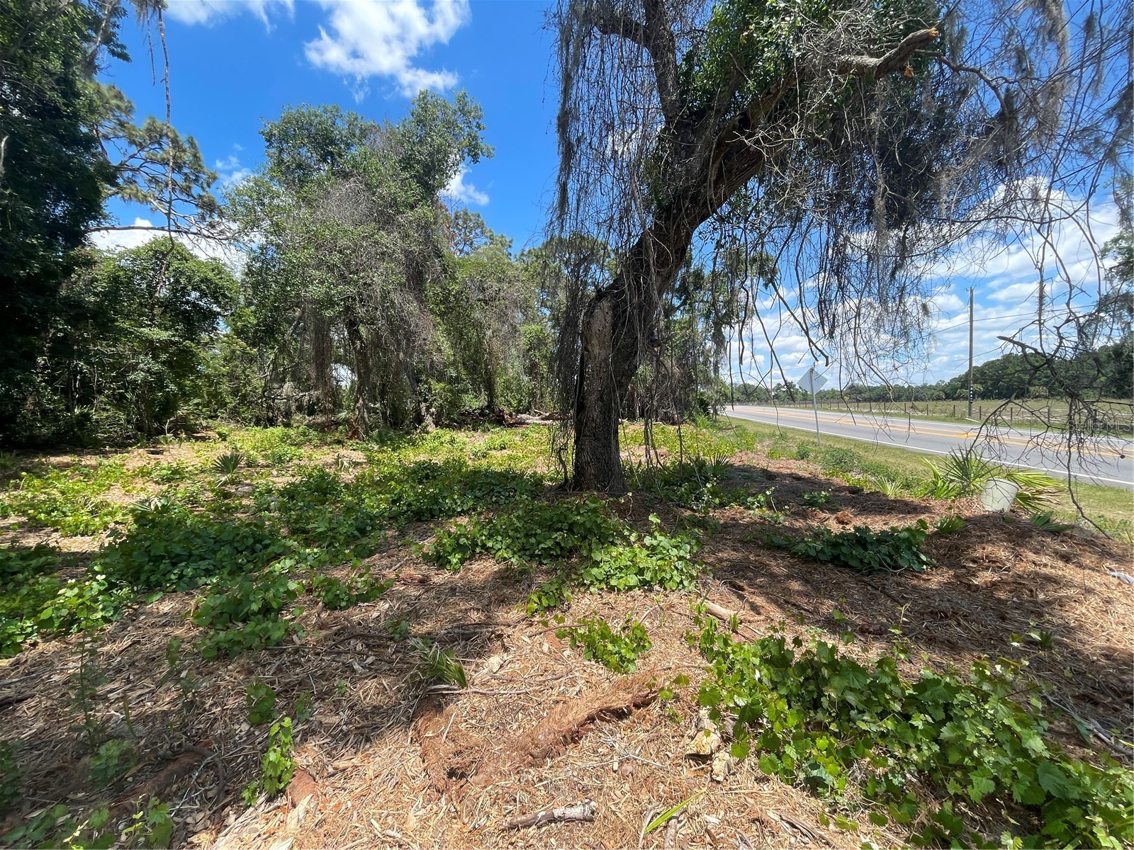 County Road 42 Umatilla FL 32784 G5113247 image2