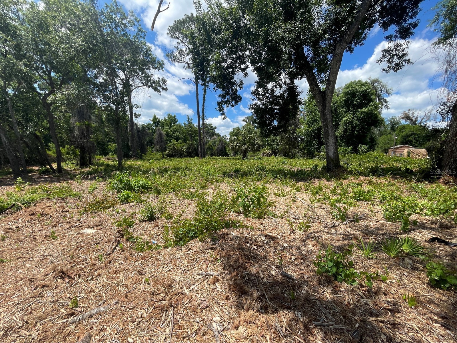 County Road 42 Umatilla FL 32784 G5113247 image3