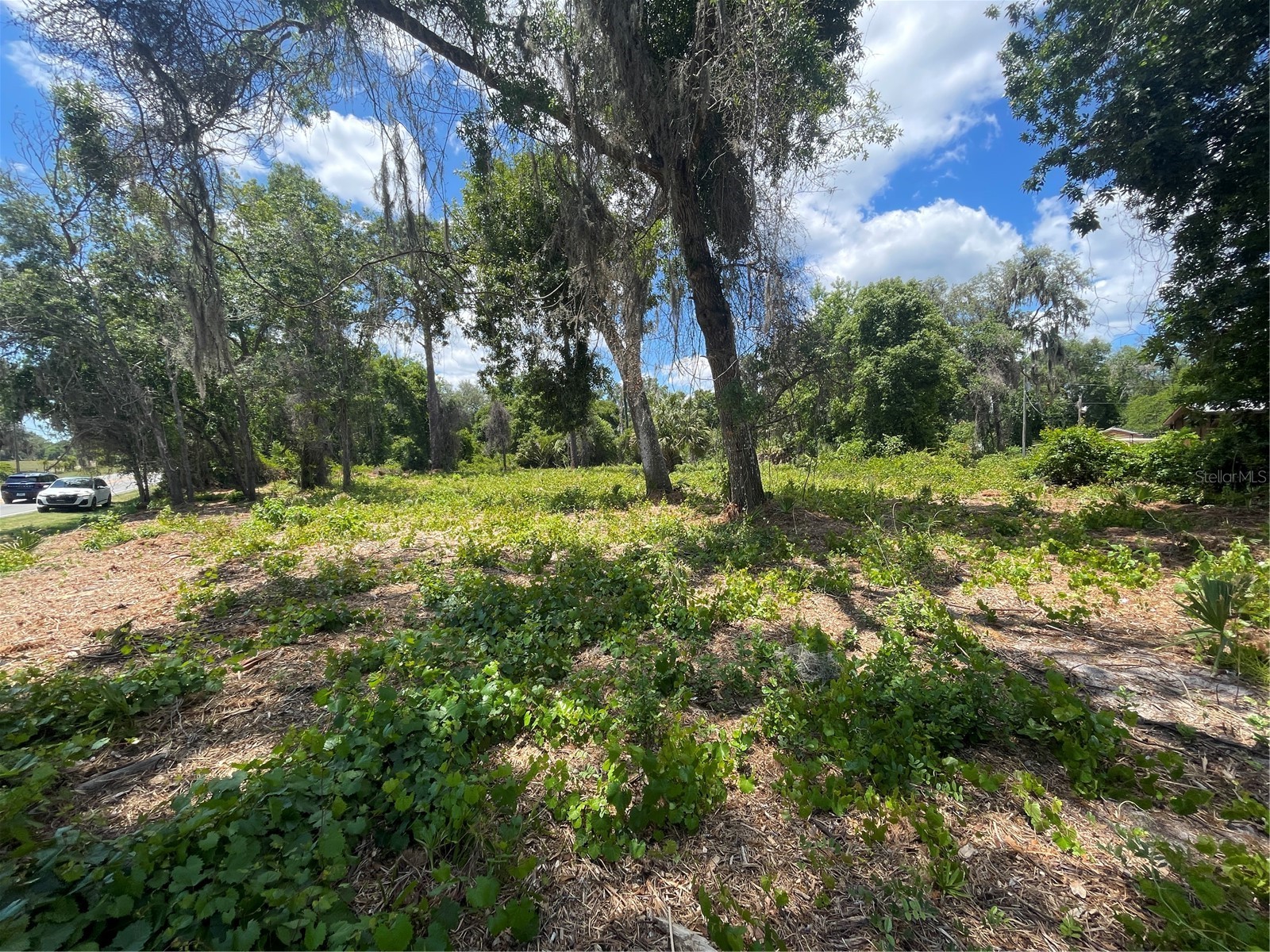 County Road 42 Umatilla FL 32784 G5113274 image1