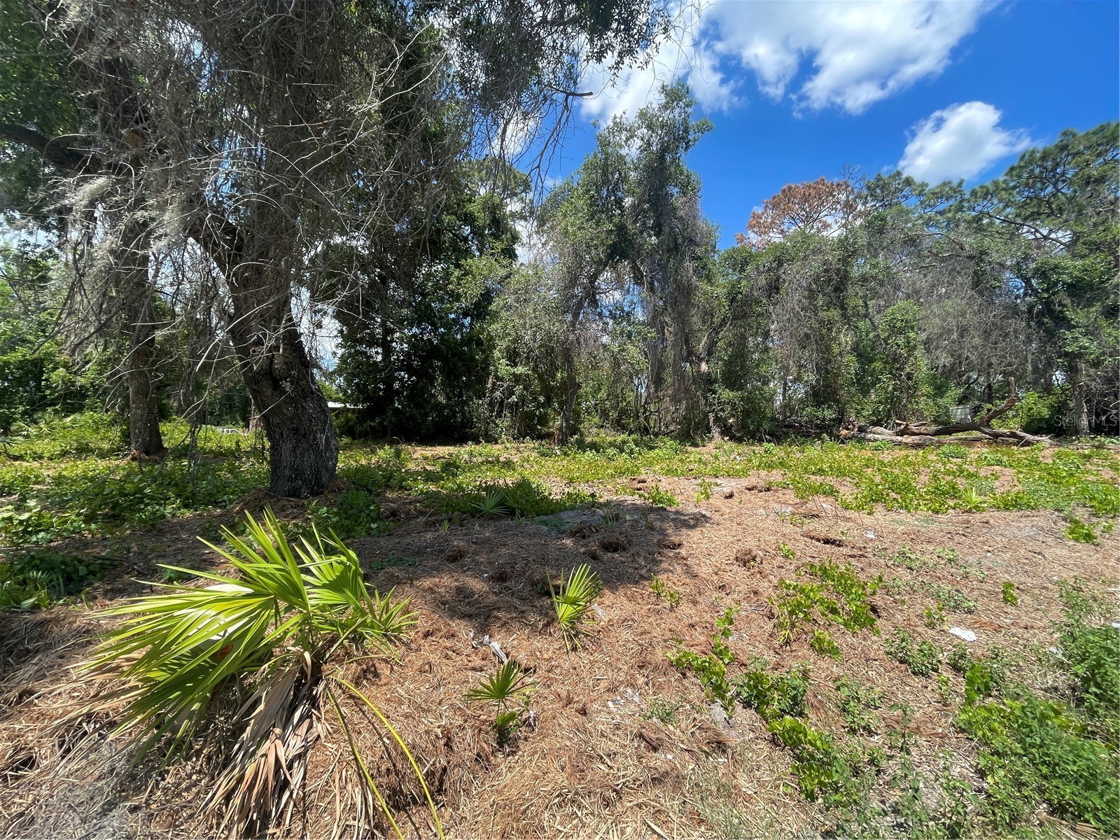 County Road 42 Umatilla FL 32784 G5113274 image3