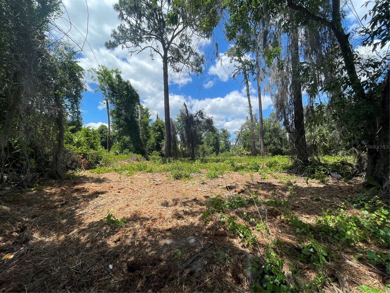 County Road 42 Umatilla FL 32784 G5113276 image2