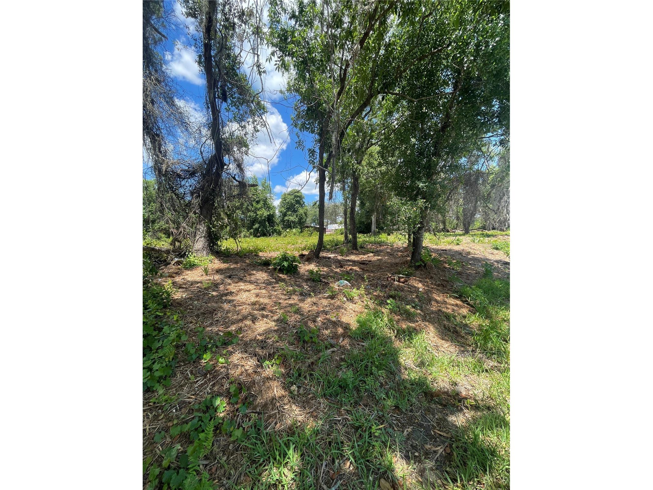 County Road 42 Umatilla FL 32784 G5113276 image4