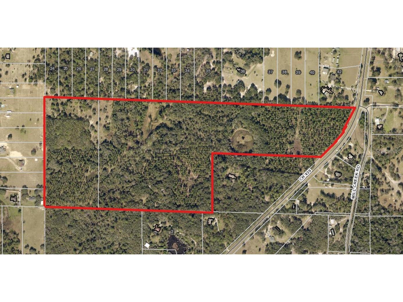 County Road 439 Road Eustis FL 32736 G5050811 image1