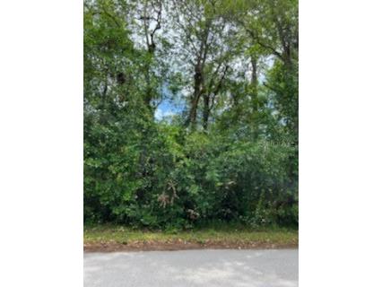 County Road 44 Leesburg FL 34788 W7854012 image1